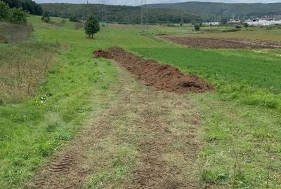 Teren de 4300 mp, în Gilău - 3
