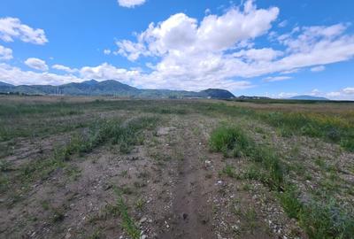 Teren industrial cu PUZ de vânzare in Brașov - 5