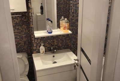 Garsonieră semidecomandată în Craiovița Nouă - 4