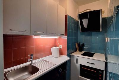 Garsonieră decomandată în Costin Georgian - 7