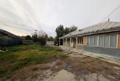 Teren 1966m Arcadie ?eptilici - TNT( Iner) - 1