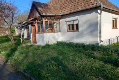 Casă cu 2 camere în Bichiș - 8