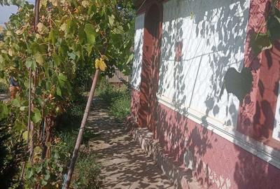 Casa Ciulnita Slobozia Ialomita - 6