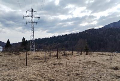 Teren Construcții intravilan de 841 mp, în Cumpătu - 4