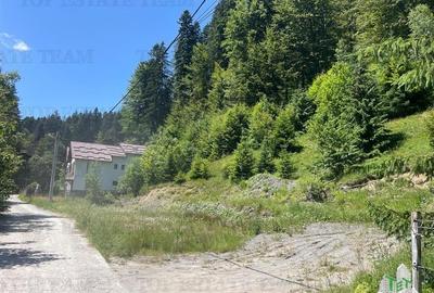 IDEAL INVESTITIE TEREN PREDEAL, 1936 mp intravilan, toate utilitatile, padure - 2