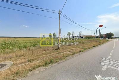 Teren de 8333 mp, în Secu - 4