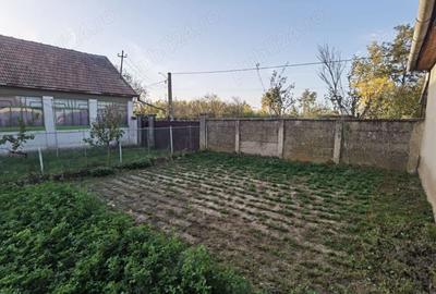 Casa 3 camere, localitate Iratosu, 3727 mp, 16 km de Arad - 3