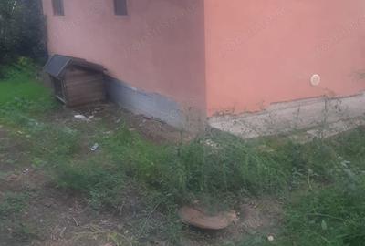 Casă cu 1 camere cu Teren 3625 Mp în Vlădiceni - 6