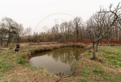 0% Comision !!  CASA CU   LAC SI PRIVELISTE  SUPERBA SPRE PADURE - 5