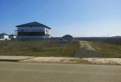 Teren de 567 mp, în Dragomirești-Deal - 5