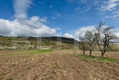 Teren de 1500 mp, în Central