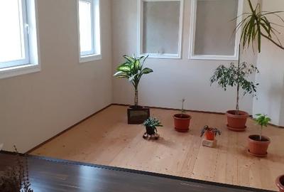 Proprietar vând casă în Dumbravița - 12