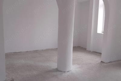 Spațiu comercial, de 100 mp, în Cărpiniș - 2