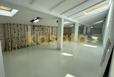 Închiriere vilă interbelică, Piata Victoriei,  renovată complet Închiriere vilă interbelică, Piata Victoriei,  renovată complet - 11