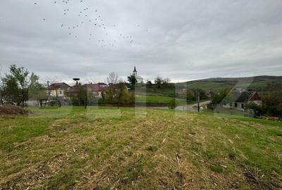 Casa individuala, 3300 mp teren, zona Sintereag - 7