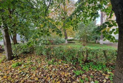 Aviatori-bloc tip vila- 2 camere- renovat recent- boxa pe acte si pod - 10