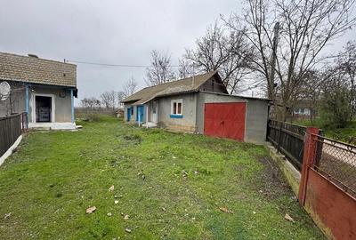 Casă cu Teren 4000 Mp în Valea Nucarilor - 1