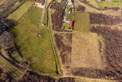 Teren intravilan in ?iria pe deal - 1