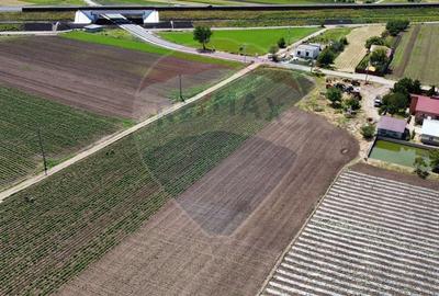 Teren Construcții intravilan de 6084 mp, în Jorăști - 5