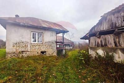 Teren de 4627 mp, în Unguraș - 6