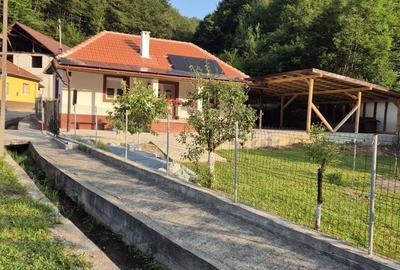 Casă cu 2 camere în Moneasa - 2