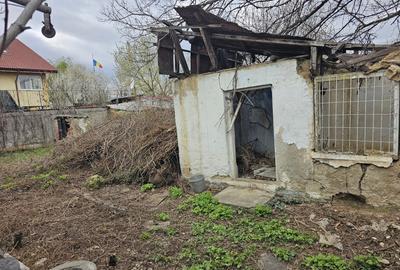 Fundeni, Bucuresti - 9