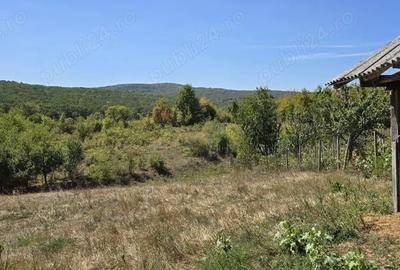Casă cu 2 camere în Chicerea - 4