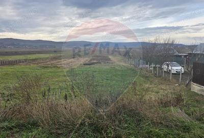 Teren intravilan si extravilan 8,282mp oras Negresti, judetul Vaslui - 4