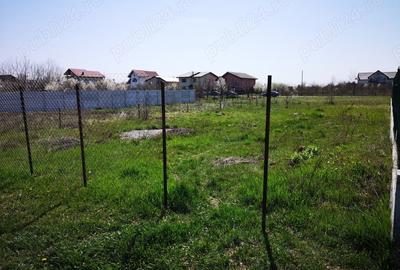 Teren de 500 mp, în Mogoșoaia - 2