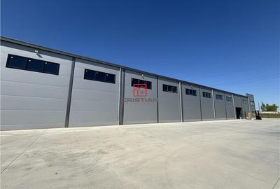 Spațiu comercial, de 1,300 mp, în Theodor Pallady - 15