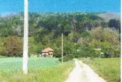 Casa si teren Malureni, cota parte 3/8, ID: R2617738 - 5