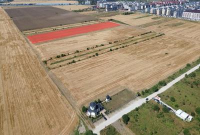 Teren Construcții intravilan de 6240 mp, în Sud