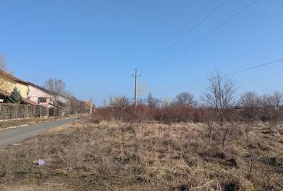 Teren intravilan 1352 mp, Corbeanca,Corbeanca Forest, ideal investitie - 13