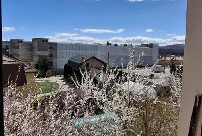 Garsonieră în Pietroasa - 3