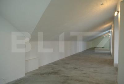 Oportunitate! Spatiu industrial, 1890 mp + teren 10450 mp, zona Burdujeni - 12