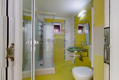 Spatiu comercial de inchiriat, Brasov, pentru activitati medicale - 9