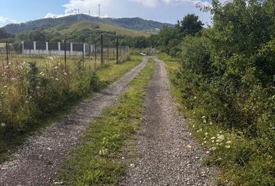 Spațiu comercial, în Central