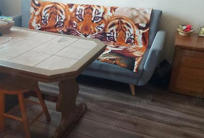 Casa tip cabana cu livada jud Alba - 6