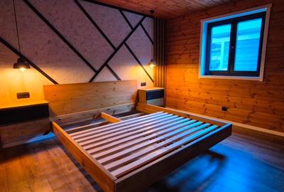 Vile de vanzare in Toplita.Ideal pentru turism - 13