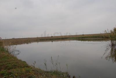 REV0002800 Vila de vanzare cu vedere la lac Laguna Albastra Corbeanca - 38