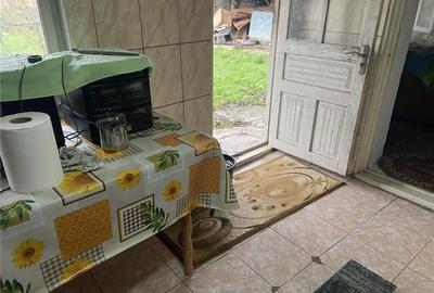 Casa formata din 2 corpuri de in sat Maluri , comuna Vultur - 7