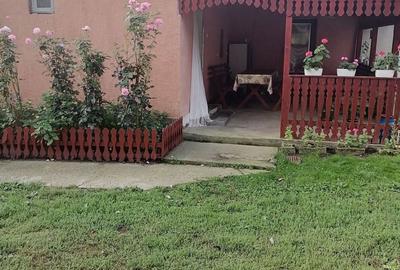Casă cu 4 camere în Nicolae Bălcescu - 9