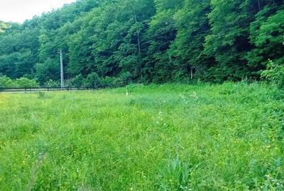 Vand casa cu teren Boz - 3