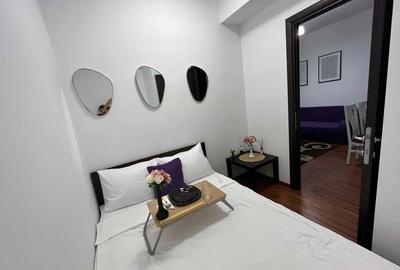 Apartament cu 2 camere semidecomandat, mobilat în Gara - 8