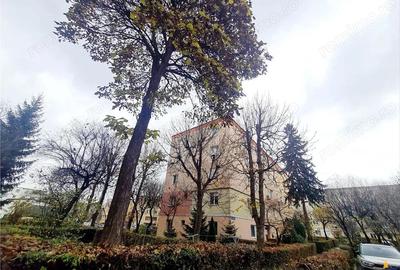 Cartierul Florilor, imobil renovabil, etaj intermediar, zona linistita, Brasov - 3