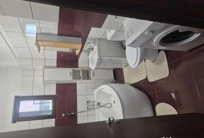 Apartament cu 2 camere semidecomandat în Dobroești - 5