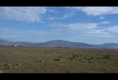 Spațiu comercial, în Prejmer - 10