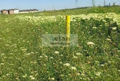 Domnesti - Str Cetinei, 697 Mp Intravilan, Deschidere 28, Utilitati - 4