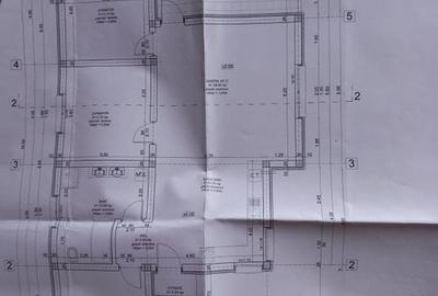 Individuala Parter Becicherecu Mic, Zona Semicentrala,4 Camere,Teren 800 mp - 23