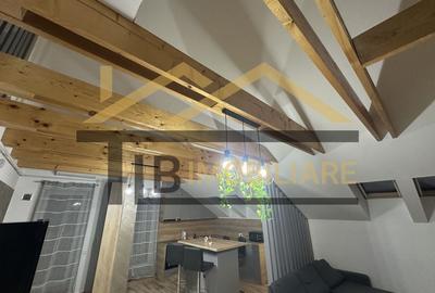 Penthouse, 120mp, 40 de terasa, parcare, Zona AMA Residence Penthouse, 120mp, 40 de terasa, parcare, Zona AMA Residence - 13